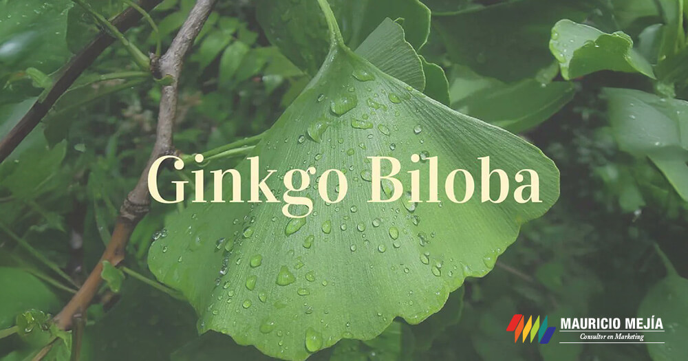 GABINETE-GINKGO-BILOBA twitter